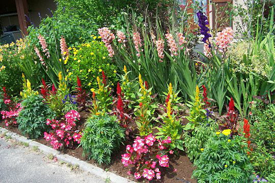 Jardin de Stéphanie