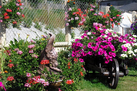 Jardin de Véronique
