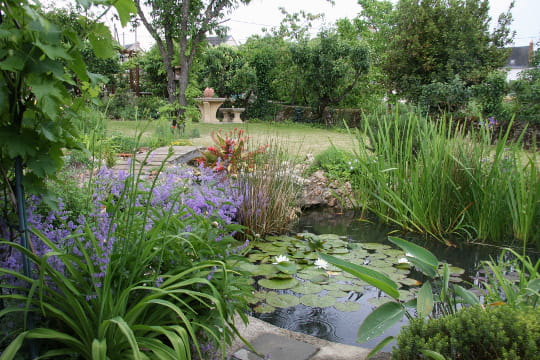 Le jardin de Lolita