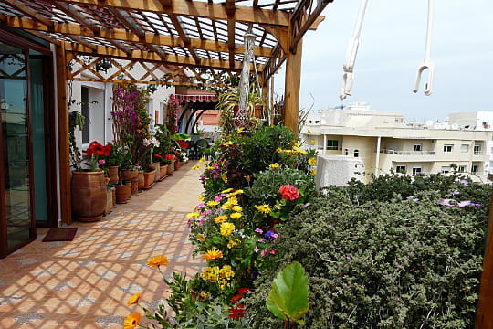 terrasse jardin appartement