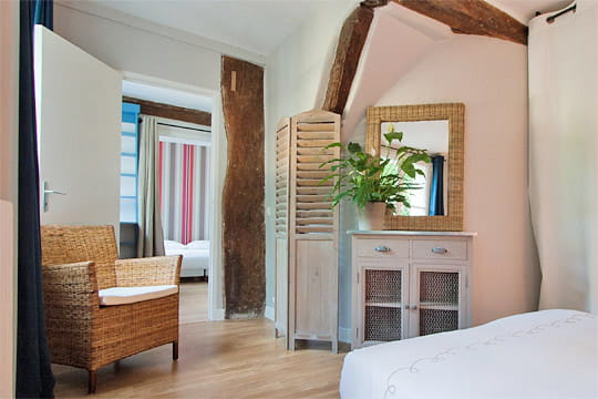 Esprit loft dans un trois-pièces parisien : chambre nature