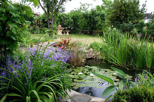 Jardin de Lolita