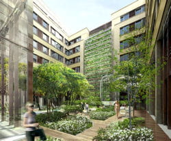 mandarin oriental
