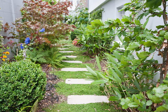 Jardin côté nord