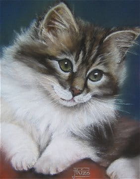 Calinou