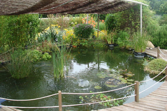Ponton et barrière