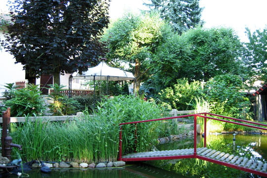 Passerelle rouge et bois